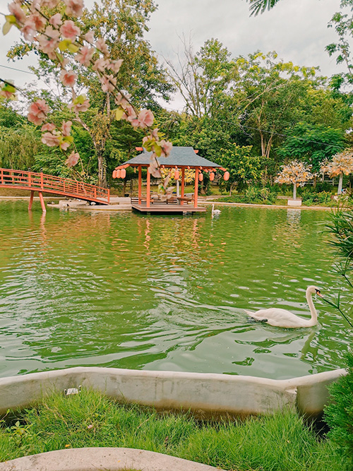 สวนผึ้งไฮแลนด์