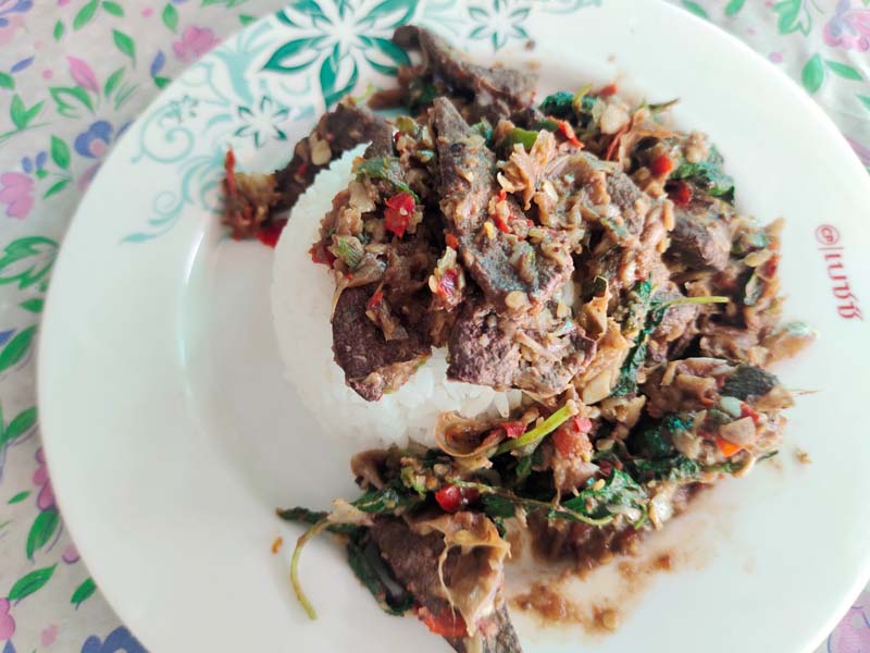 กะเพราตับ