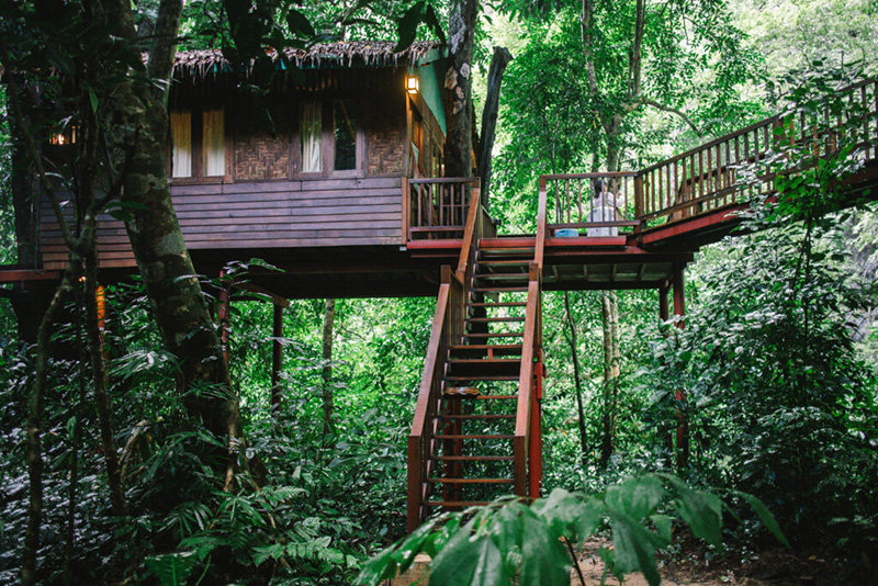 Our Jungle House