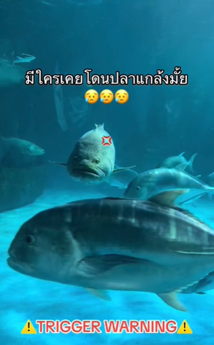 อควาเรียม