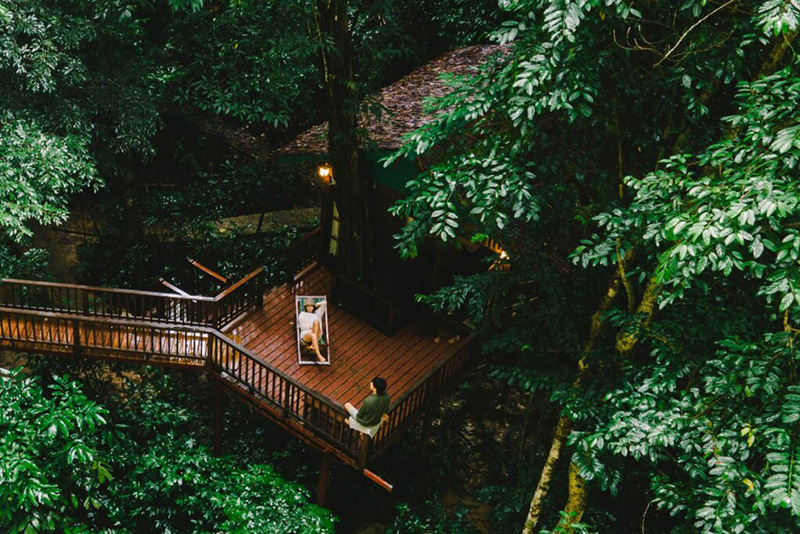 Our Jungle House