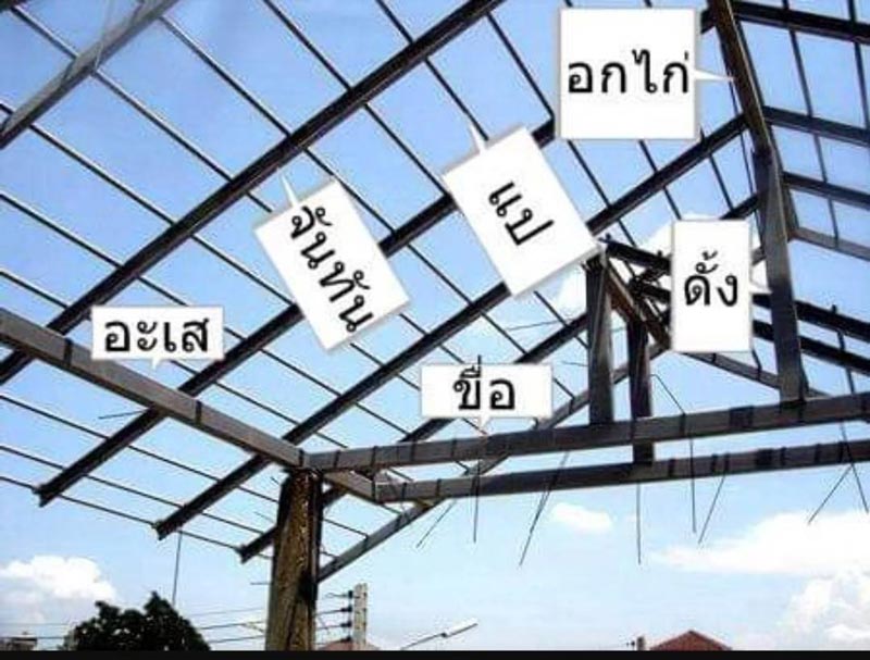 สร้างบ้านสวน