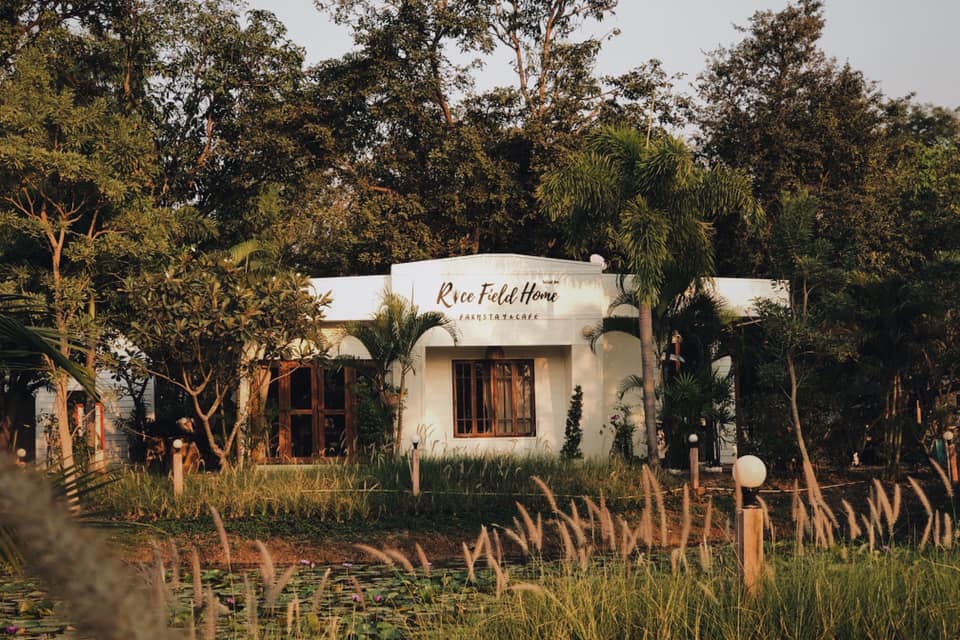ร้านคาเฟ่ ปิกนิก