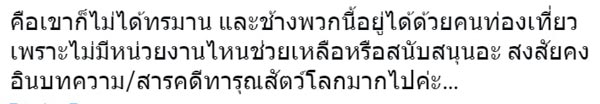 น้ำตาล มารีญา