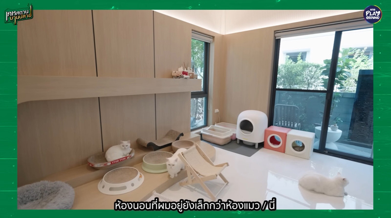 บ้าน เต๋า เศรษฐพงศ์ ห้องแมว