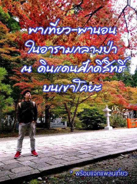 เที่ยวภูเขาโคยะ