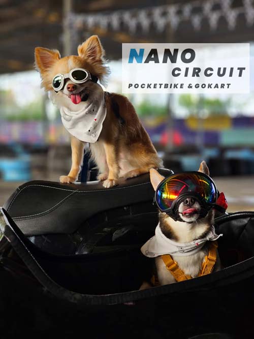 Nano Circuit