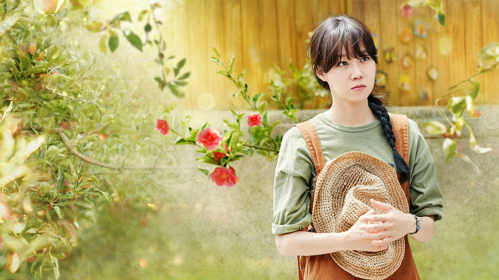 ซีรีส์เกาหลี