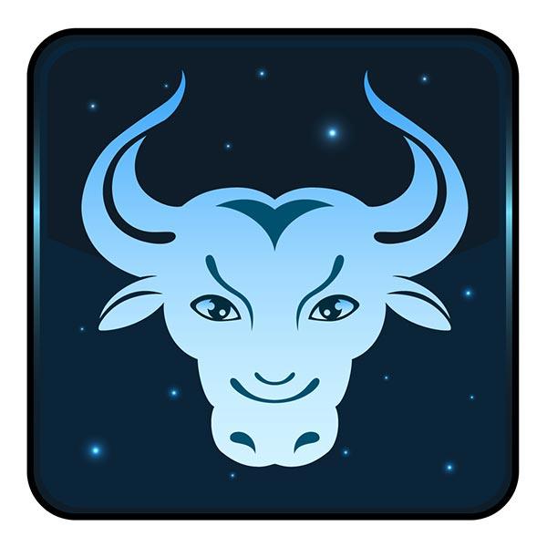 ดูดวงการเงิน 2567 ราศีพฤษภ