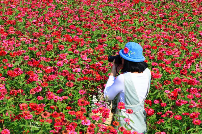 สวนป้านกเอี้ยง