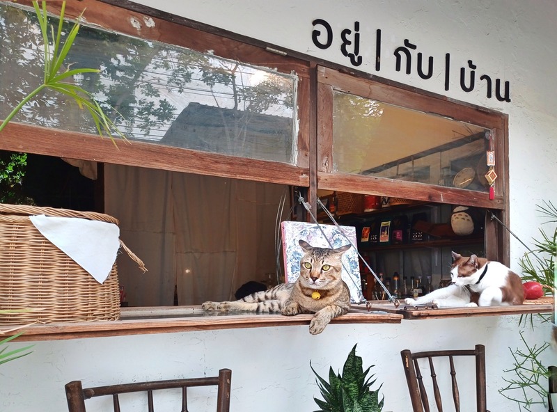 คาเฟ่อ่อนนุช อยู่ กับ บ้าน