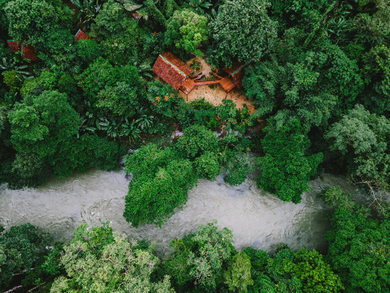 Our Jungle House