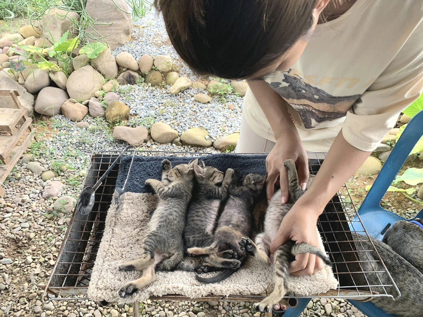 ขายปลาเผา