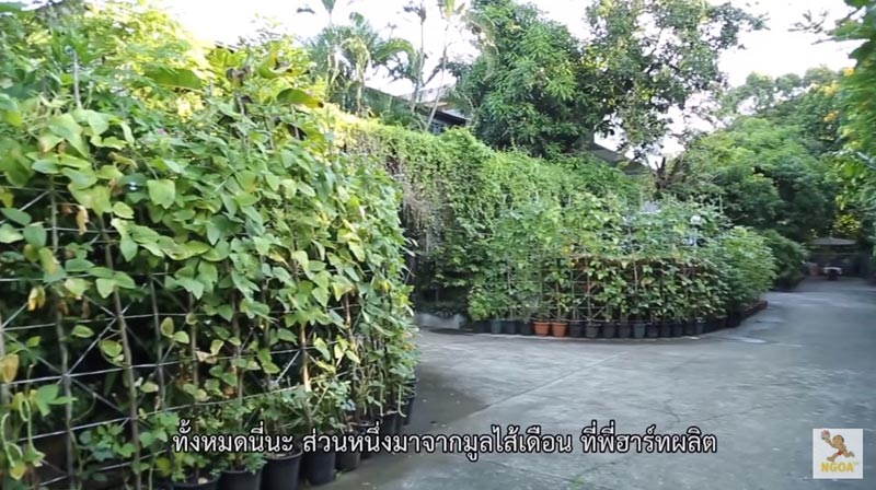บ้าน ฮาร์ท สุทธิพงศ์