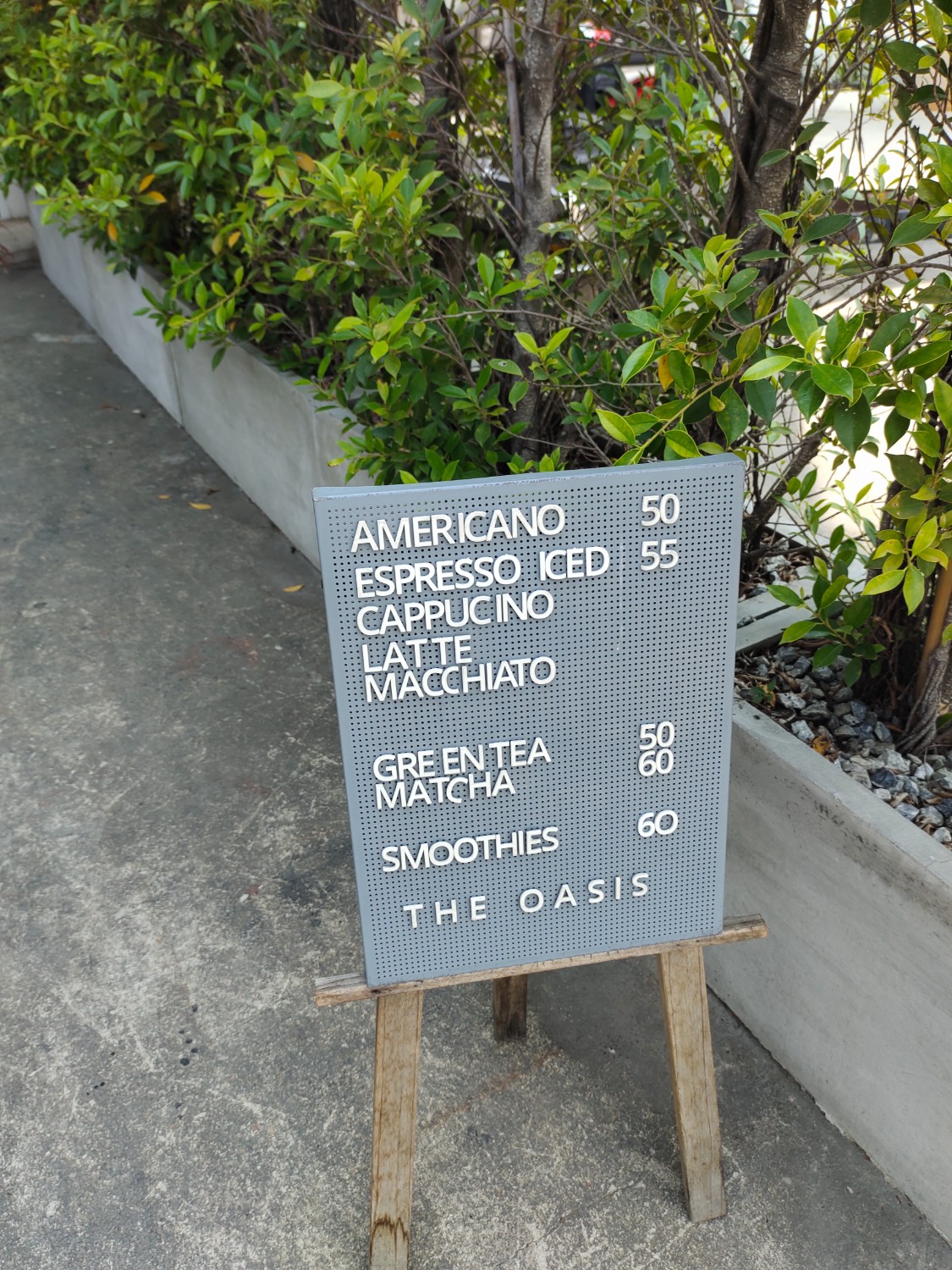 The Oasis Cafe and Studio
