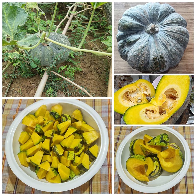 ฟักทองผัดไข่