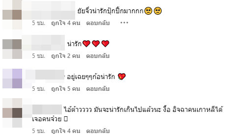 ใบเฟิร์น พิมพ์ชนก