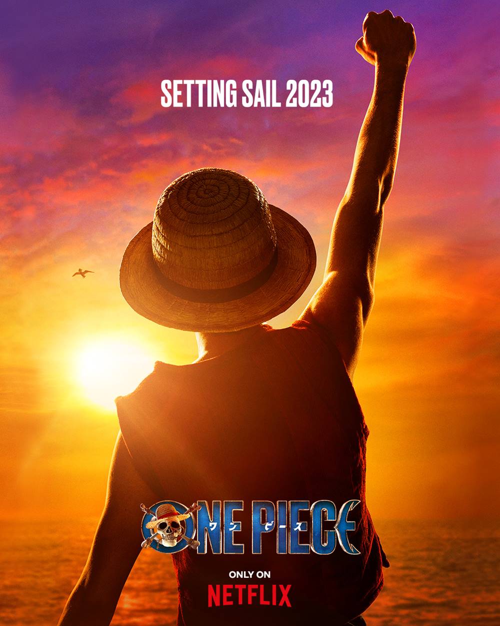 one piece netflix