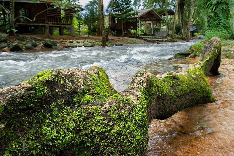 คลองมะเดื่อ นครนายก