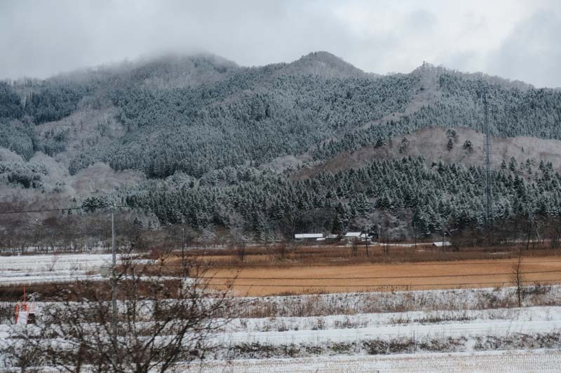 Jigokudani