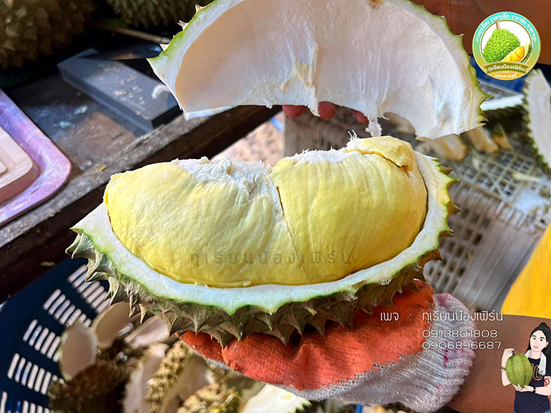 ทุเรียนเดลิเวอรี่