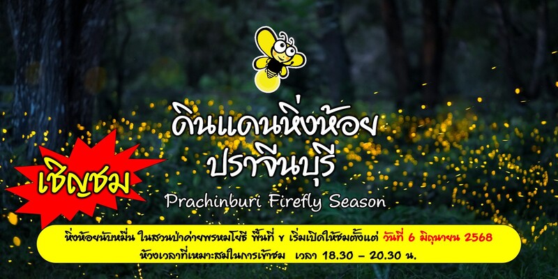 หิ่งห้อย ปราจีนบุรี 2568 เปิดวันไหน