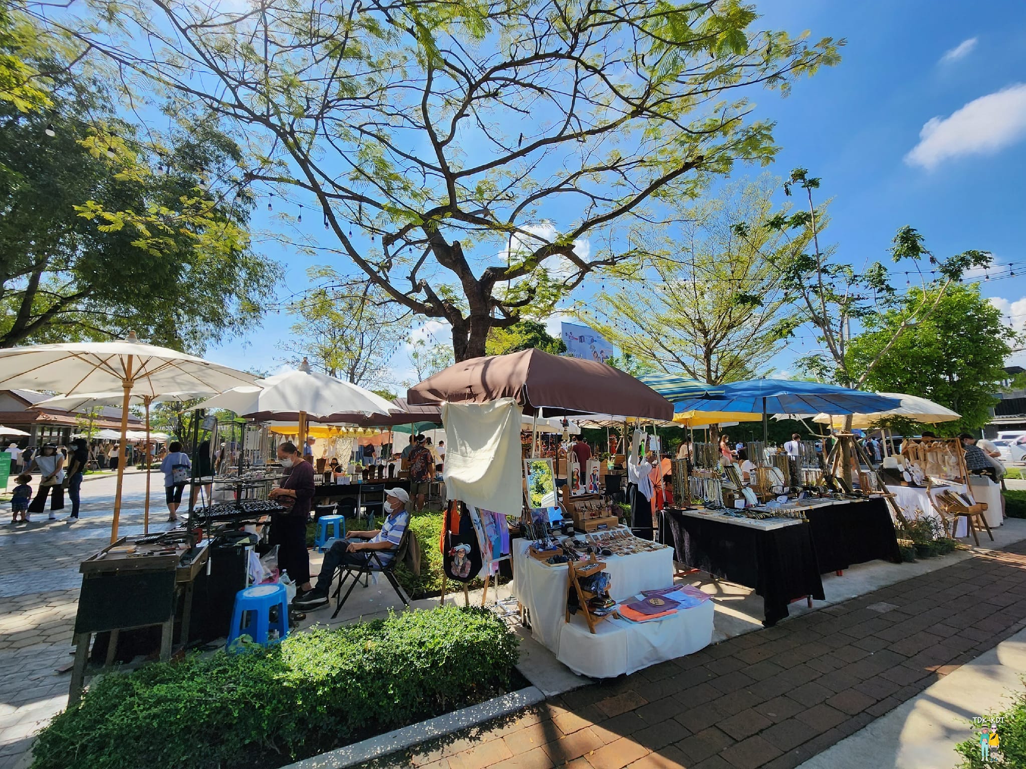 ตลาดจริงใจ เชียงใหม่