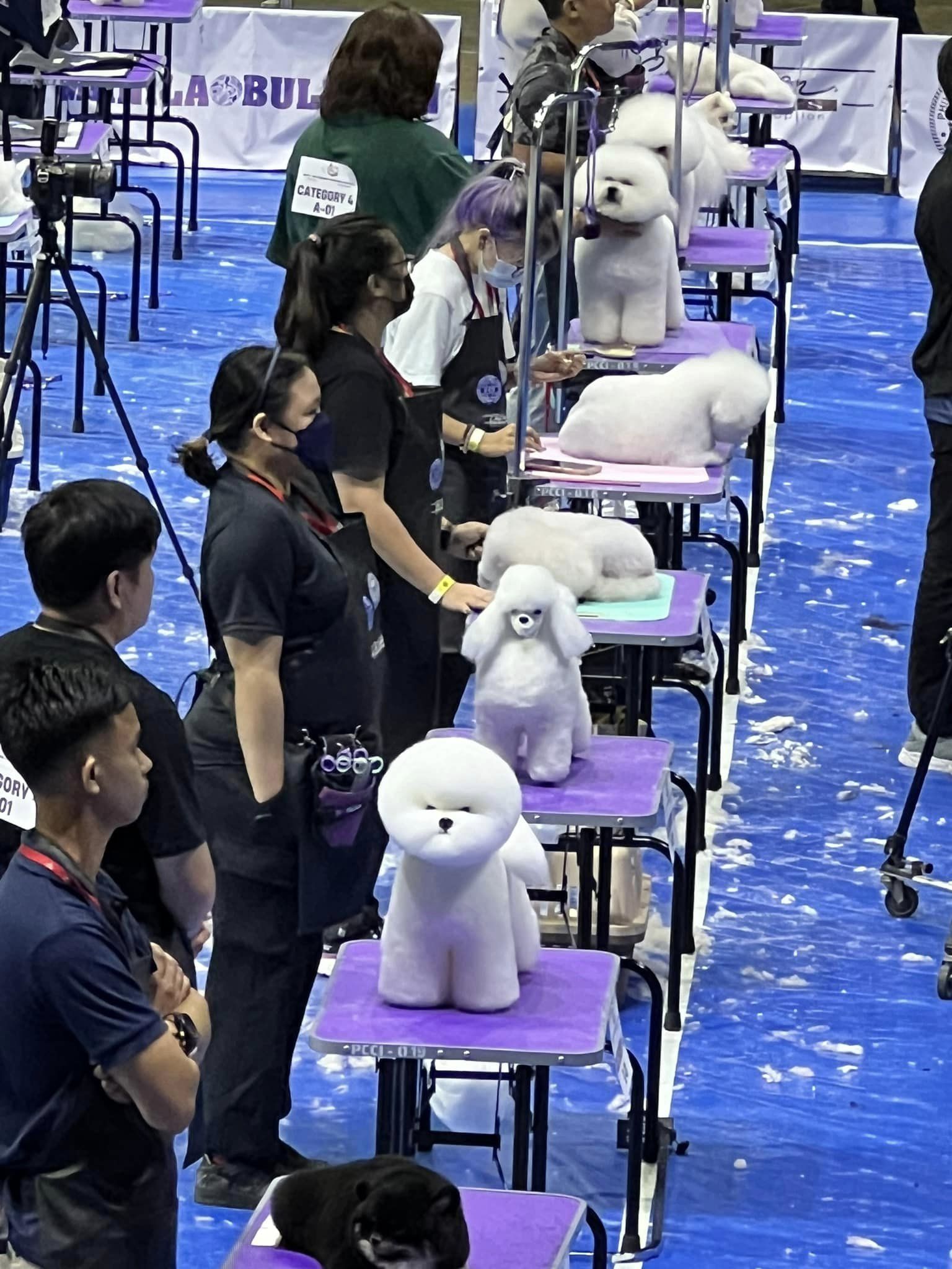 ตัดขนหมา