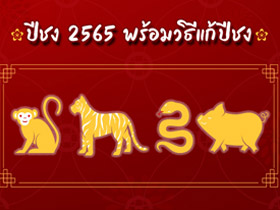 ปีชง 2565 ปีนักษัตรอะไรชงตรง-ชงร่วม เช็กเลย ! พร้อมส่องวิธีแก้ปีชง