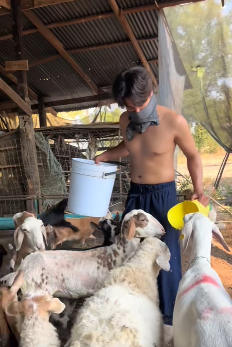 เพ็ชร ฐกฤต