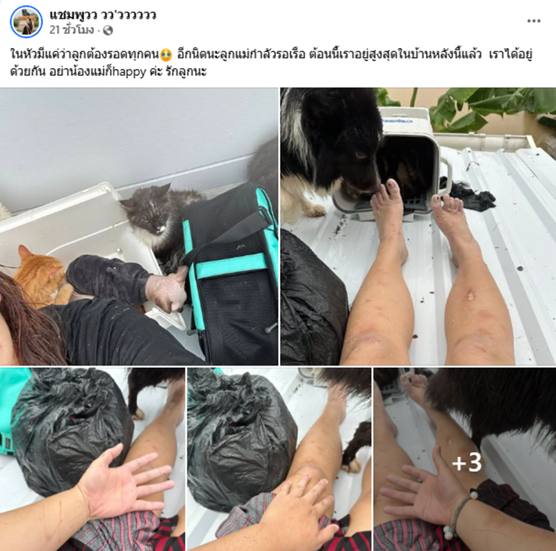 เจ้าของติดบนหลังคา พร้อมหมา-แมว กว่า 20 ชีวิต คนห่วงหลังเงียบหาย