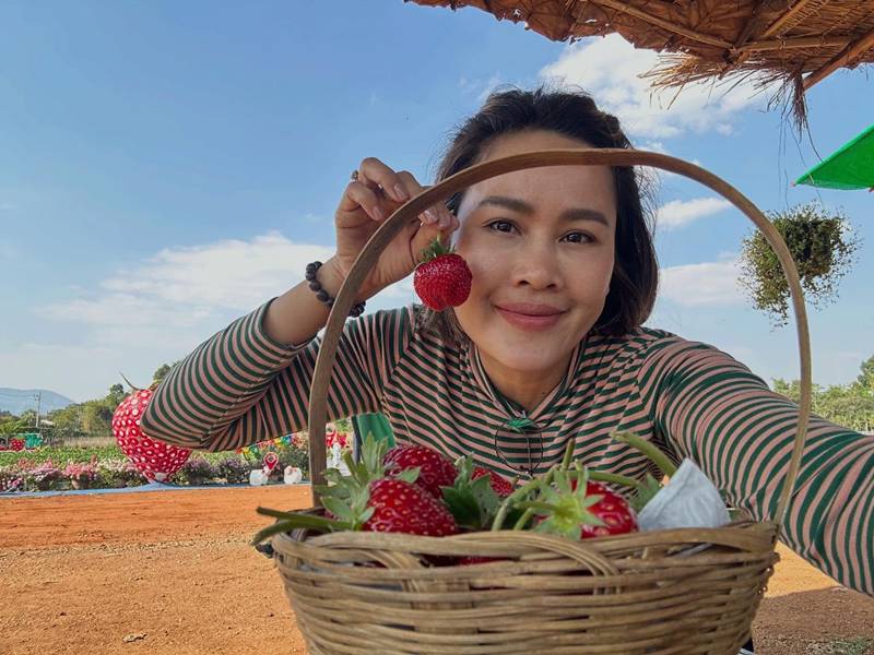 หนูเล็ก ก่อนบ่าย