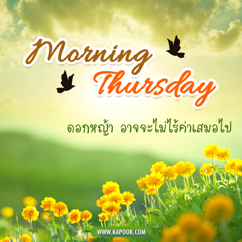 สวัสดีวันพฤหัสฯ ดอกหญ้า อาจจะไม่ไร้ค่าเสมอไป