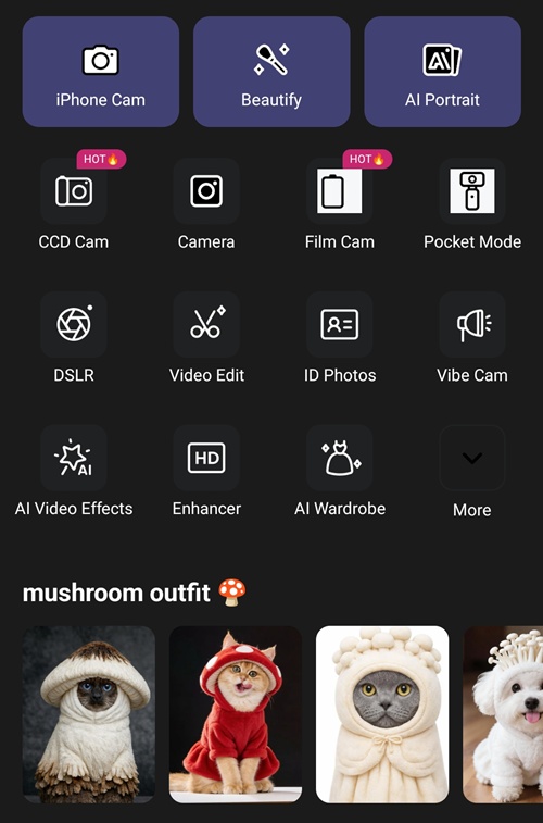 วิธีทำรูปแมวใส่ชุดเห็ด