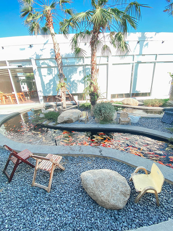 คาเฟ่ริมทะเลสาบ