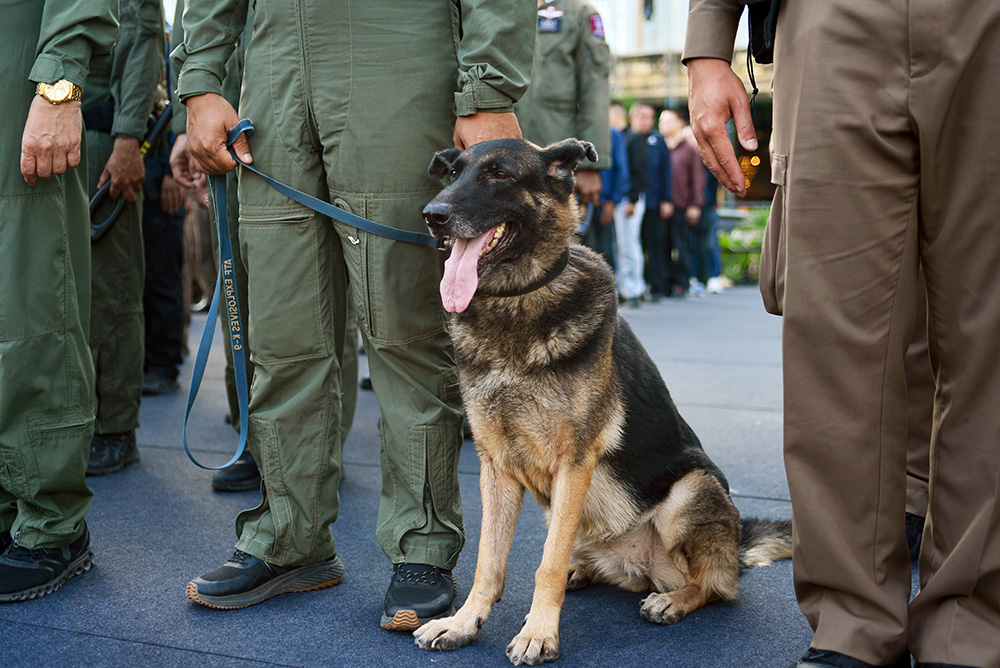Amazing Thailand Countdown 2026
