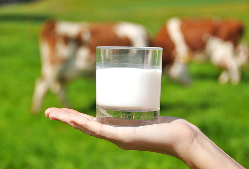 grass fed milk คืออะไร