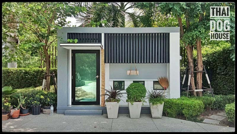 แบบบ้านหมา