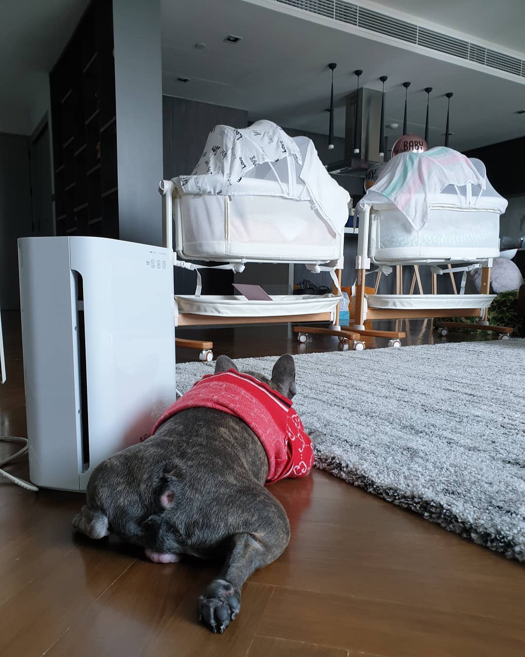 ป๊อก มาร์กี้ น้องมีก้า น้องมีญ่า สมคิด