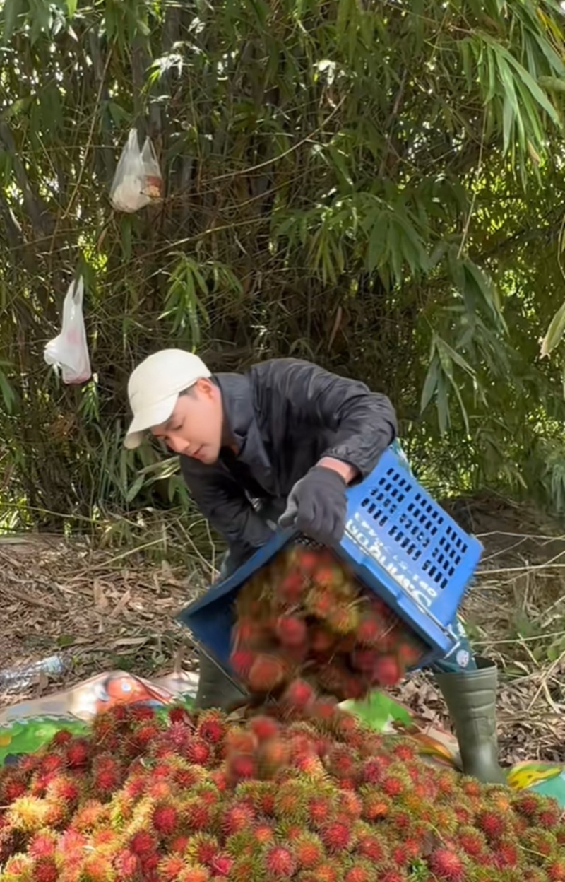 เพ็ชร ฐกฤต