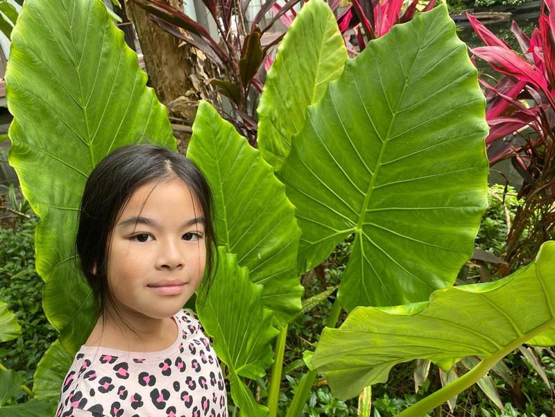 น้องโสน ลูก มอส ปฏิภาณ