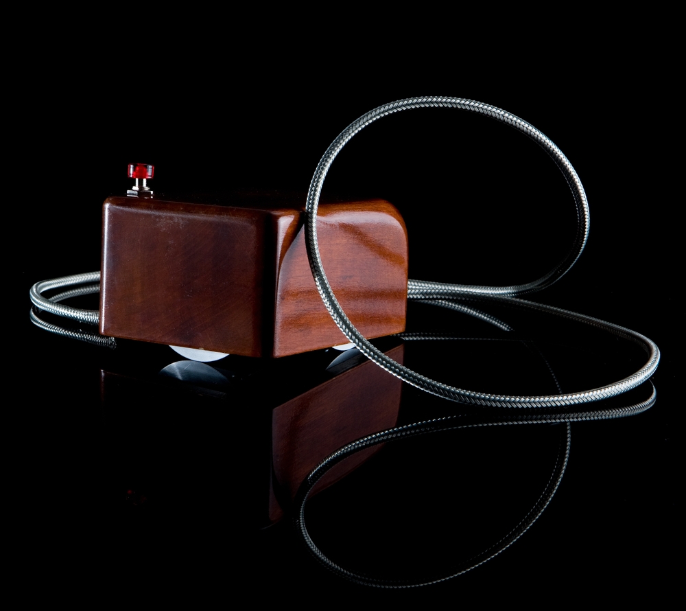 วิวัฒนาการของเมาส์