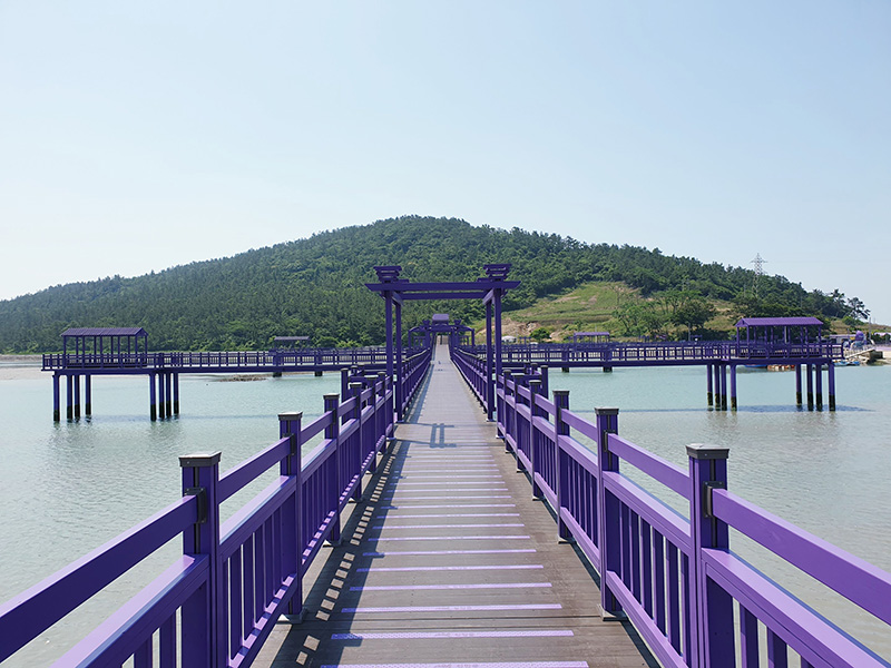 เกาะสีม่วง เกาหลีใต้