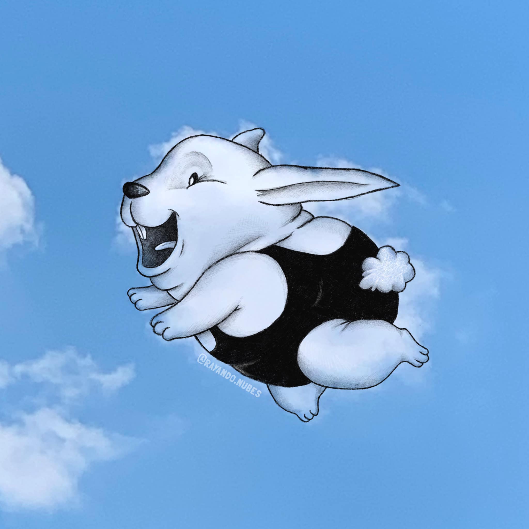 ศิลปะจากก้อนเมฆ