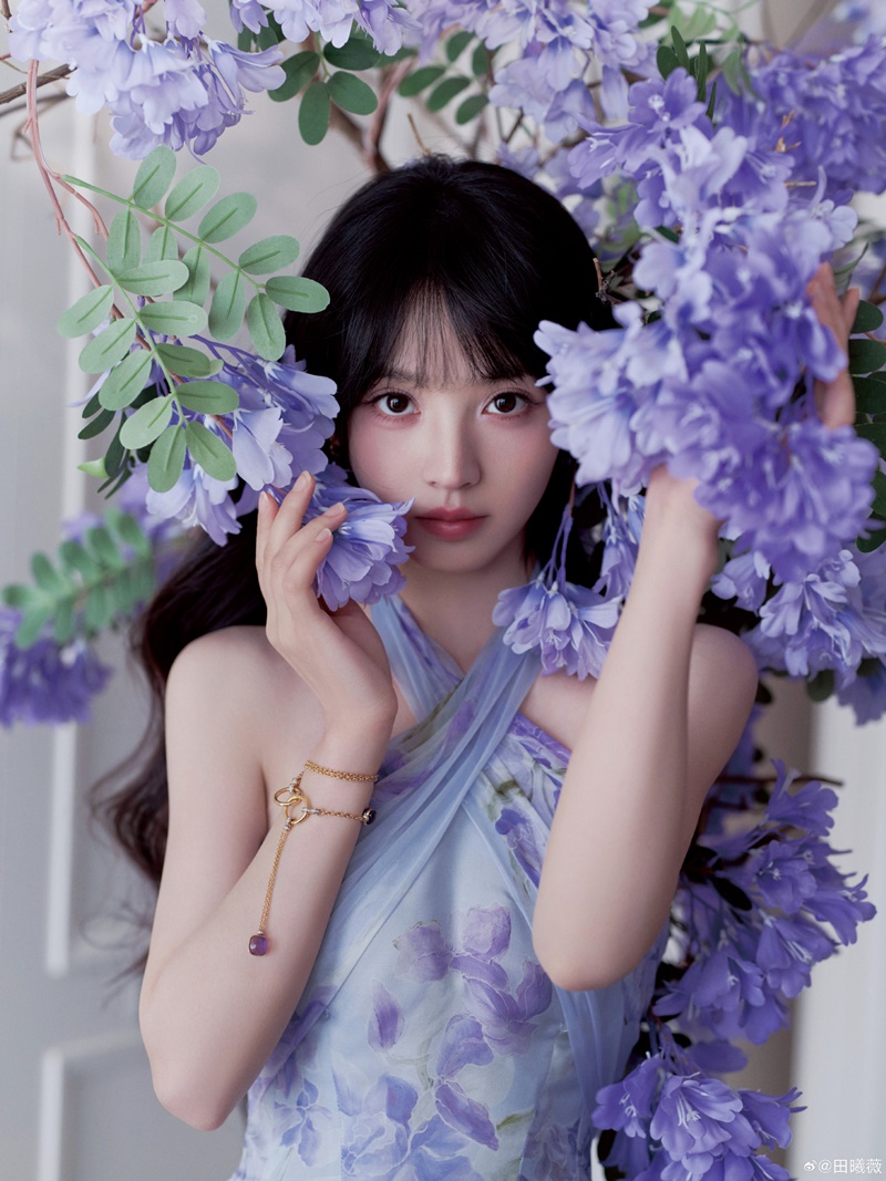 เถียนซีเว่ย นางเอกล่าหยก