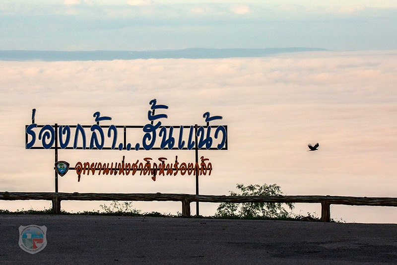 จุดชมวิวร่องกล้าฮั้นแน้ว ภูหินร่องกล้า