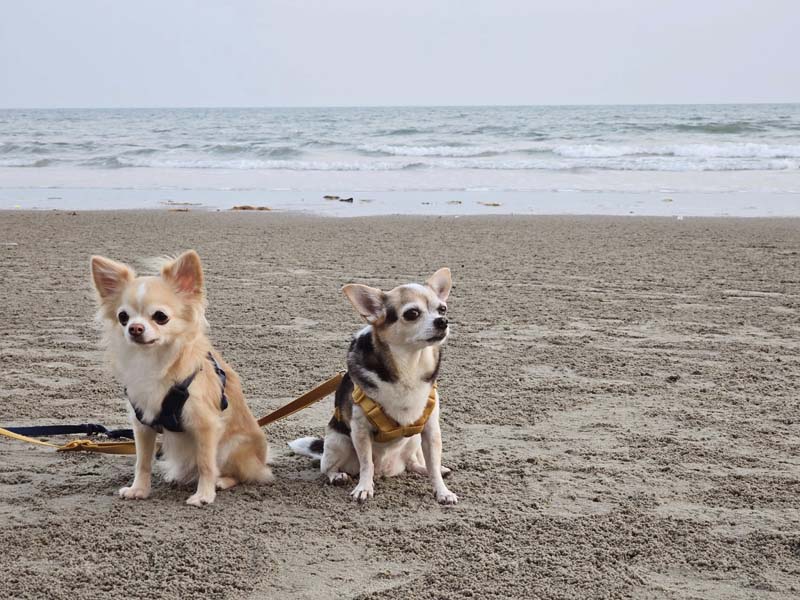 Mercure Rayong Lomtalay โรงแรมระยอง