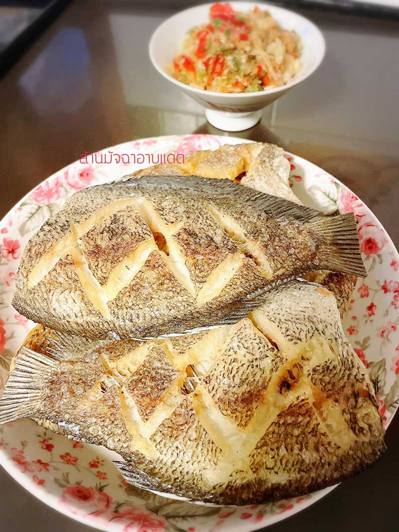 ร้านข้าวผัดปลาสลิด