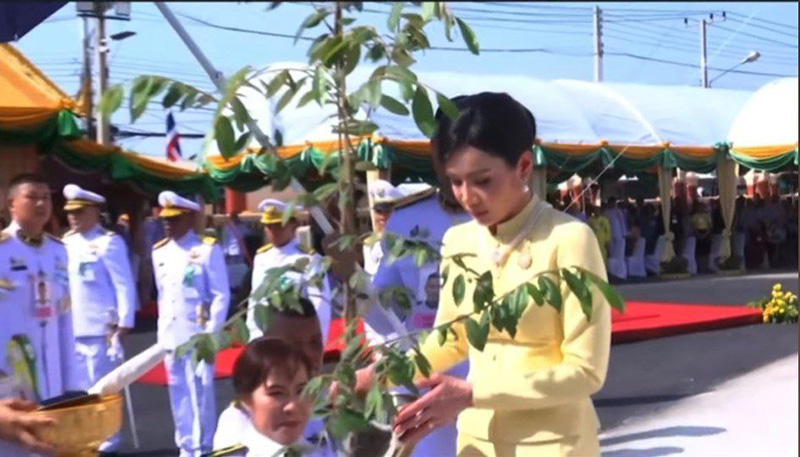 โปรดเกล้าฯ คุณหญิงชยุตรา วชิรพัทธโสภา 