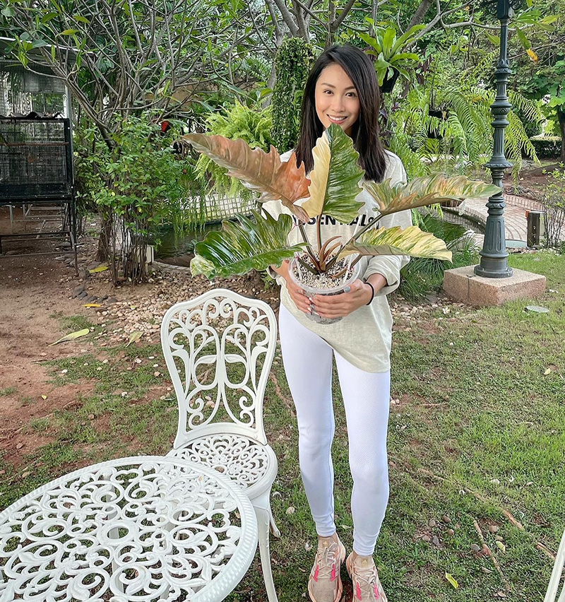 แตงโม นิดา